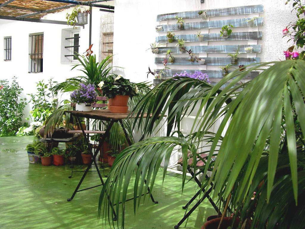 Punta Umbría Apartamentos Calypso מראה חיצוני תמונה